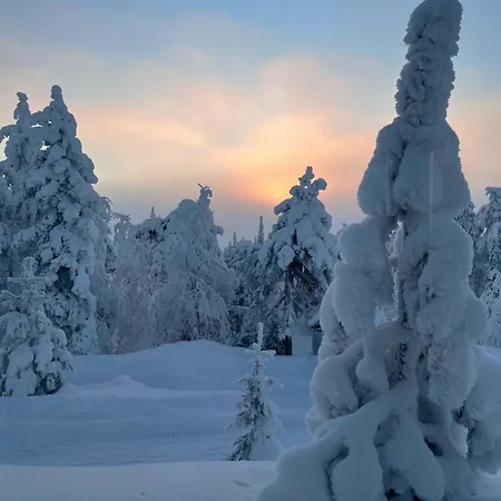 Feriehus Lumi-ilves Syöte